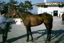 �ﰢ�� (SAMGAKSAN) ����