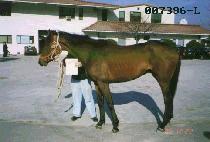 ����� (GYEOLSEUNGJEON) ����