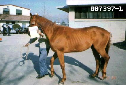 ���ƶ� ����