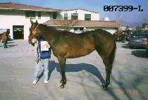 ������ (WOONGDAEHAN) ����