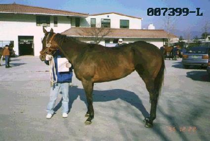 ������ ����