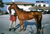 ���Ƕ����� (HAPPY LIFE) ����