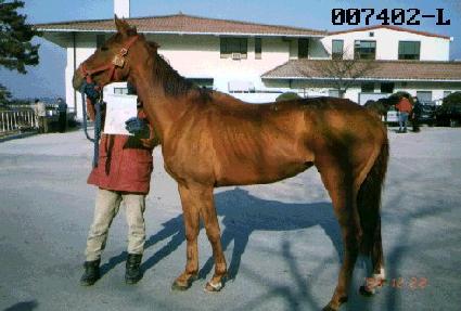 ���Ƕ����� ����