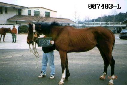 ��ȭ�� ����