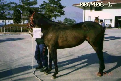 ���δ� ����