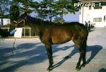 õ�� (CHEONHOON) ����