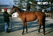 õ�� (CHEONSEONG) ����