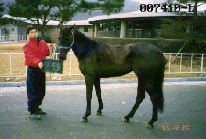 �׸�����Ʈ ����