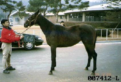 ������ ����