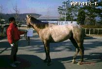 ���Ķ� (HWIPARAM) ����