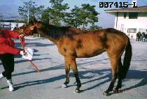 ���� (GWANGSOK) ����