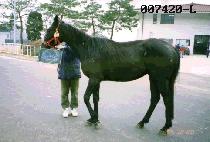 �������ص帲 (LIFE AND DREAM) ����