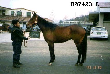 ����ũ�� ����