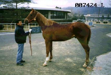 ŷȭ���� ����