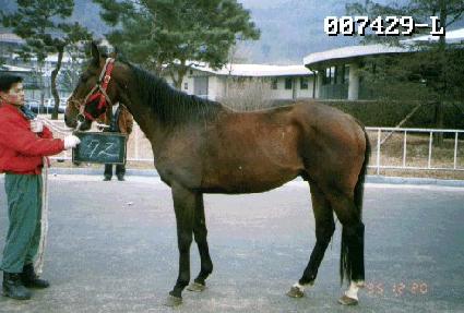 ���µ� ����