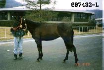 �鷯�� (TOP RUNNER) ����