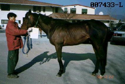 ȭ���þ� ����