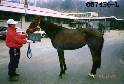 ���� ����