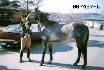 ��ȭ�� (GOOKHWASEOM) ����