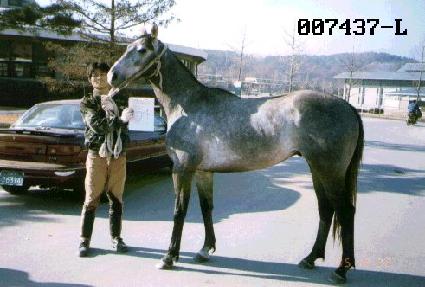 ��ȭ�� ����