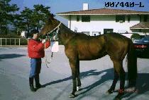 ���̽�Ű (ACE KEY) ����