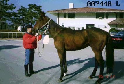 ���̽�Ű ����