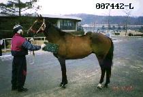 ���Ľ� (MUPASSA) ����