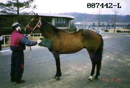 ���Ľ� ����