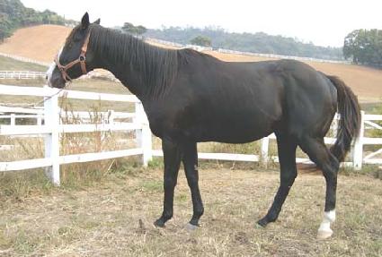 �����ڹ�� ����