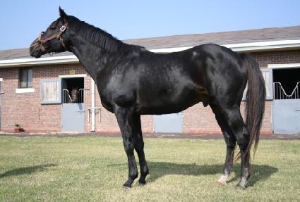 �ε����� ����