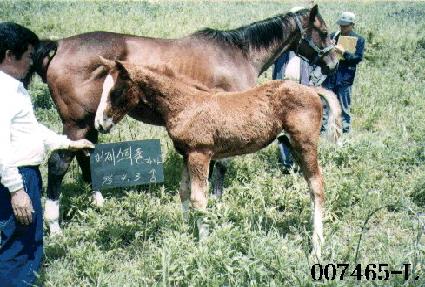 ��� ����