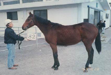 �Ҳɽ� ����