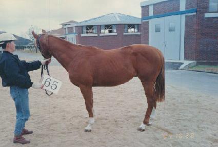 ûõ�� ����