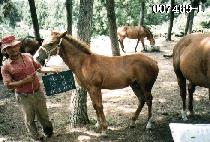 �۷θ� ����