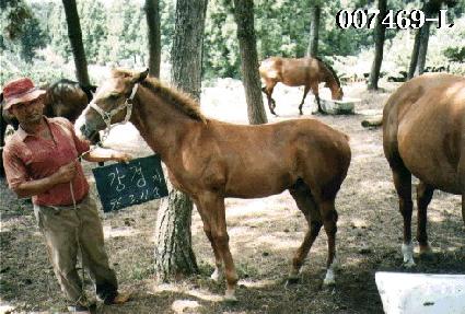 �۷θ� ����