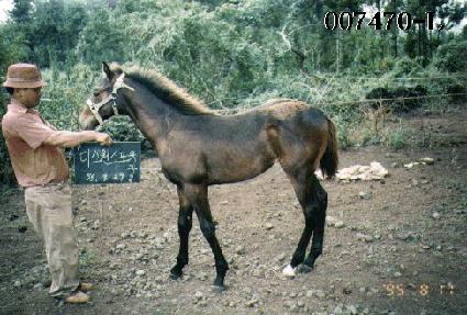 �ⰳ�� ����