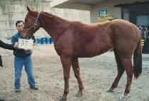 õ�� (CH��EON-GONG) ����