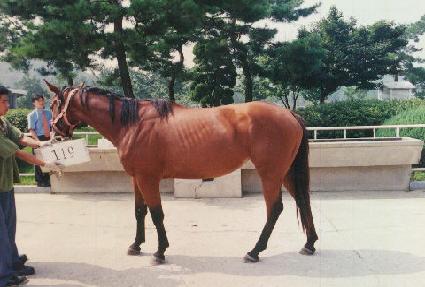 �׸����� ����