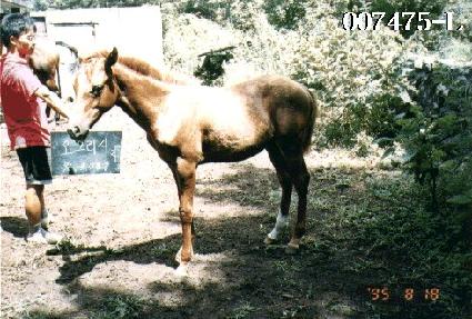 ���� ����