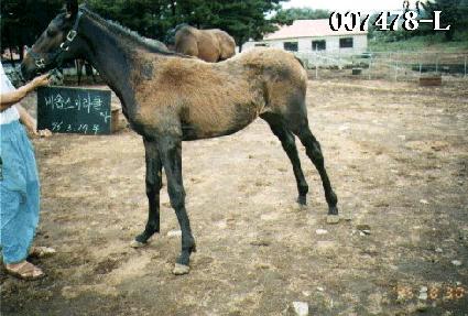 ��ä�� ����