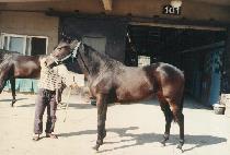 �̺� (EVE) ����