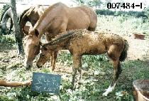 �ҳ����ڸ� ����