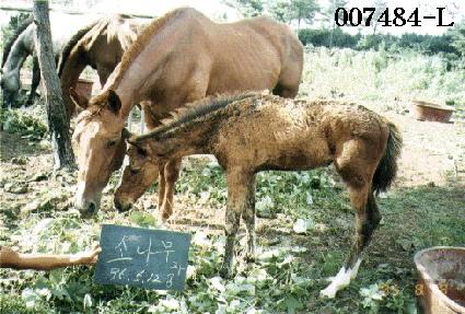 �ҳ����ڸ� ����