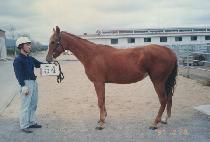 ���� (TEONGMANG) ����