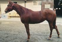 ������ (MANBONGNAE) ����