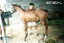 �����������ڸ� ����