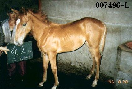 ź���ڸ� ����