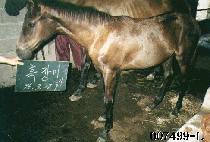 ������ڸ� ����