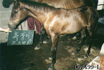 ������ڸ� ����