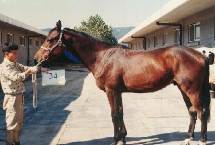 ���̹��� ����